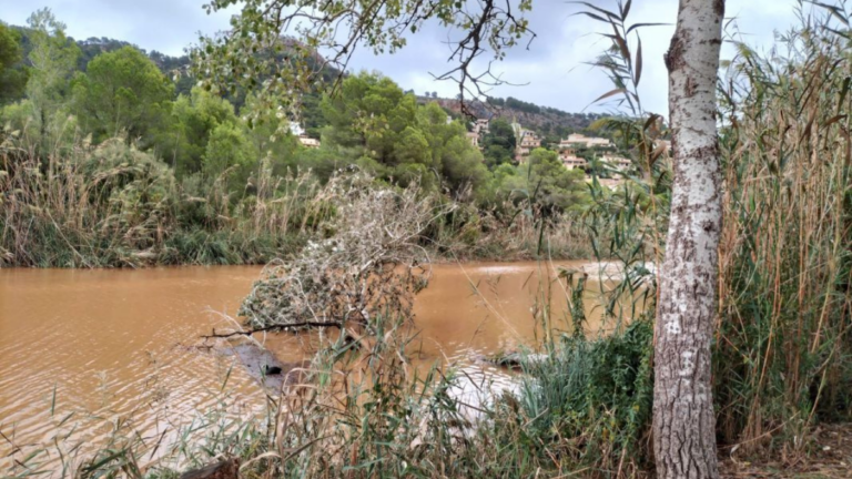 lluvias mallorca