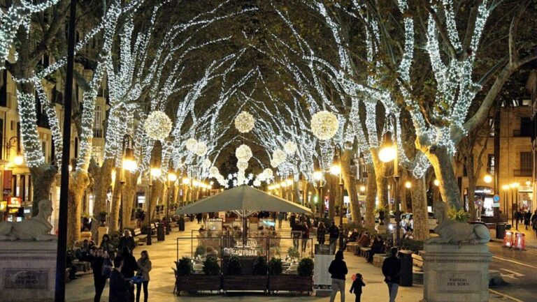 Palma Navidad