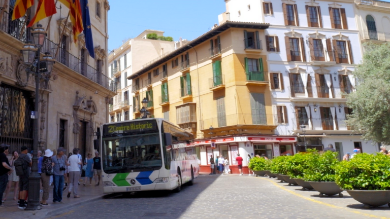 palma autobuses