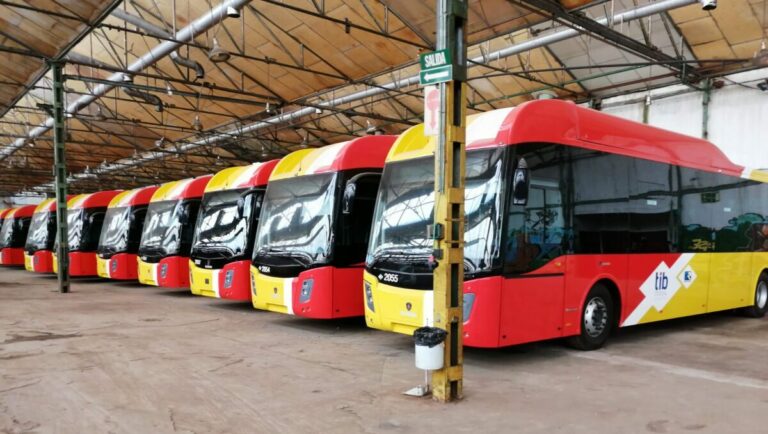 gratuidad autobuses