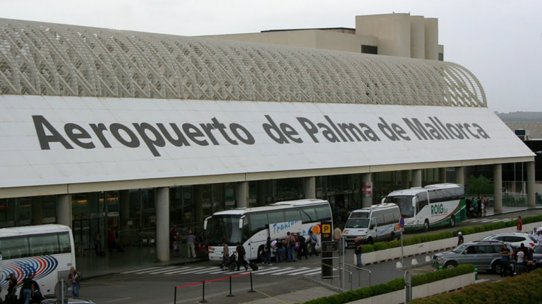 café insectos aeropuerto