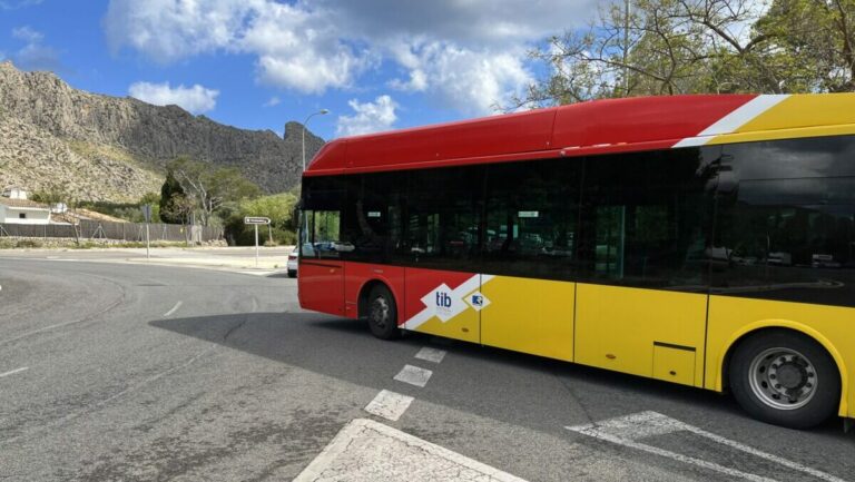 bus lanzadera TIB