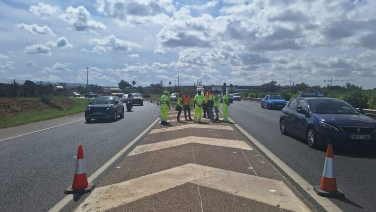 autopista palma