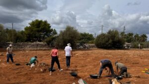 Centro de Arqueología de Mallorca