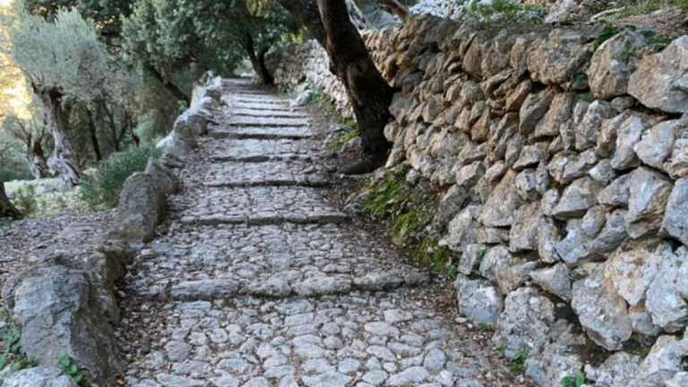 Semana Patrimonio de Pedra en Sec