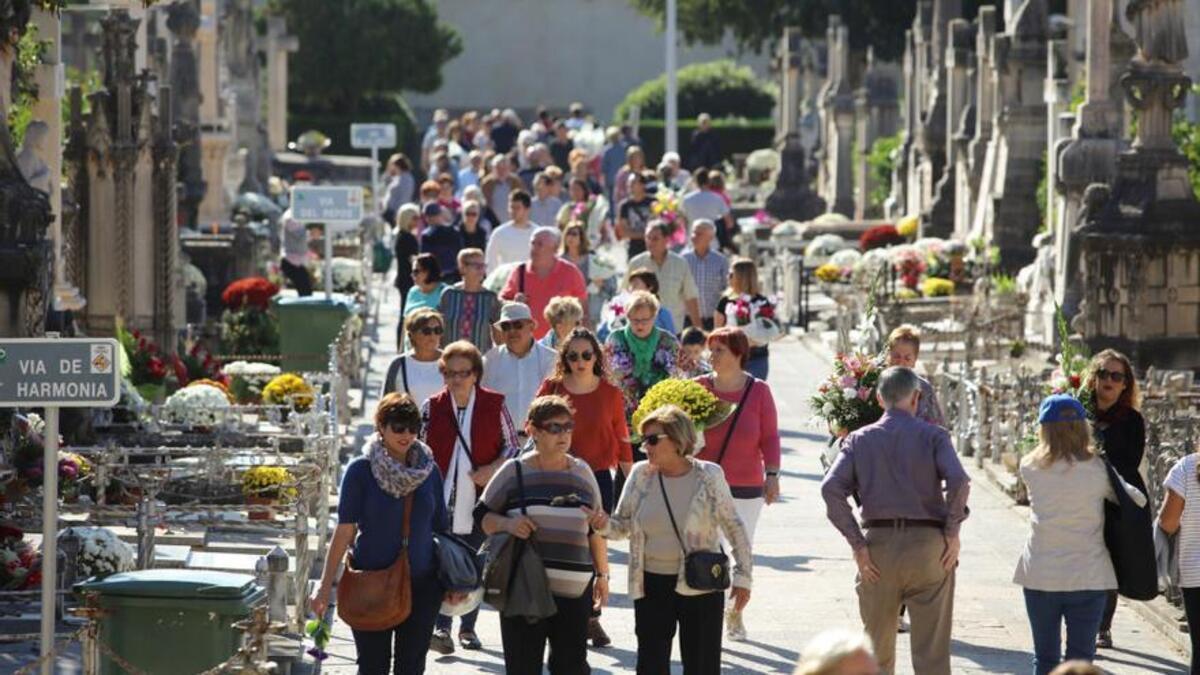 Palma Todos los Santos