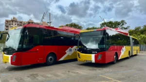 gratuidad transporte público