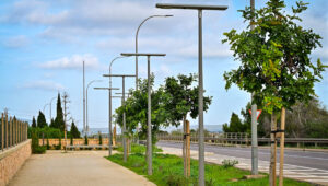 corredor verde