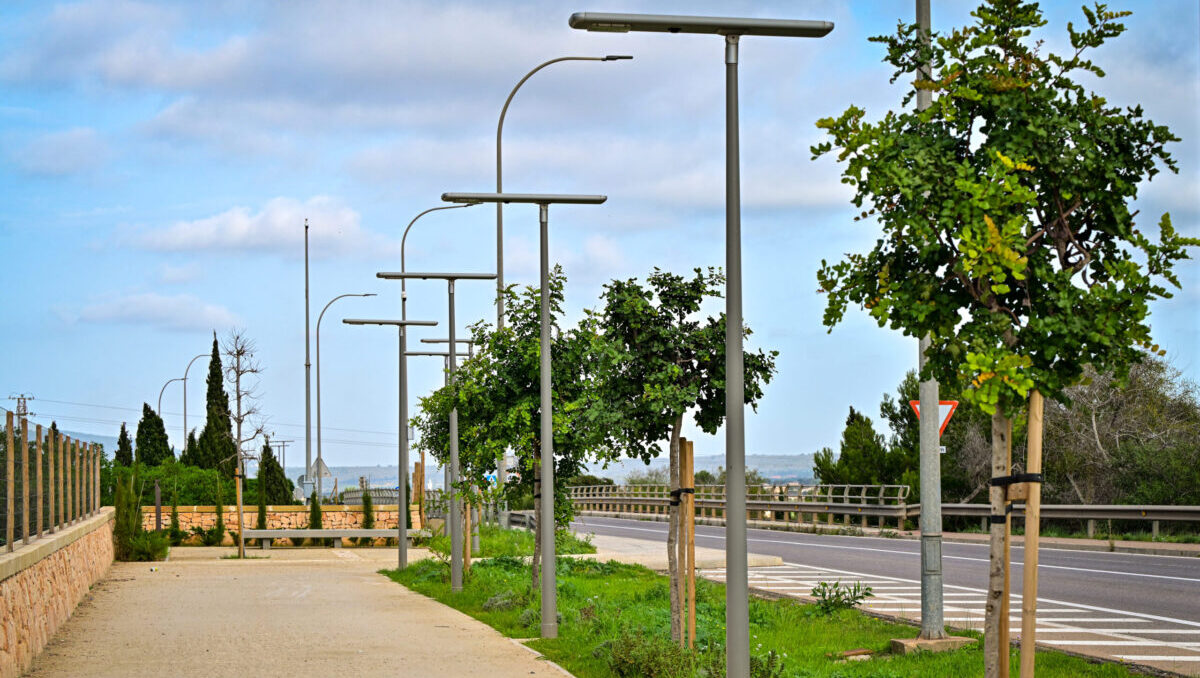 corredor verde