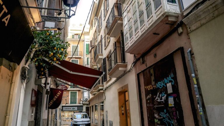 Palma alquiler turístico