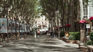 Palma presupuesto 2026