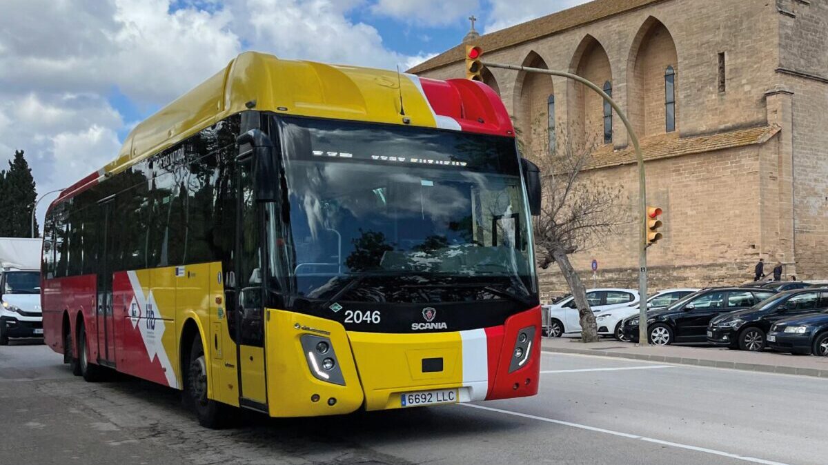 El TIB amplía su servicio: líneas y horarios que se reactivan