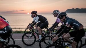 Mallorca 312 OK Mobility