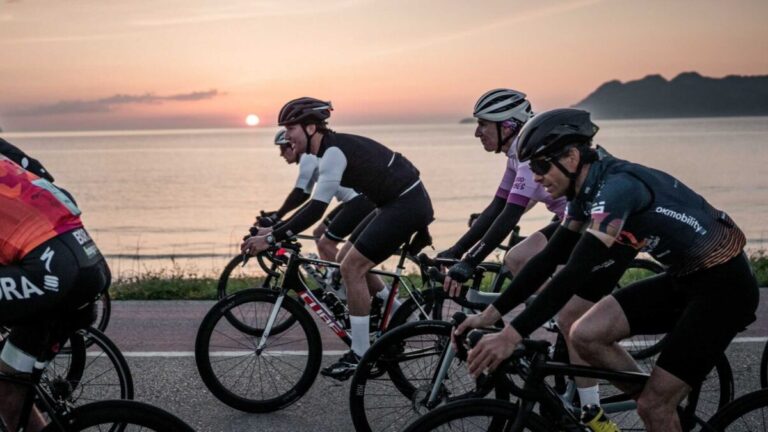 Mallorca 312 OK Mobility