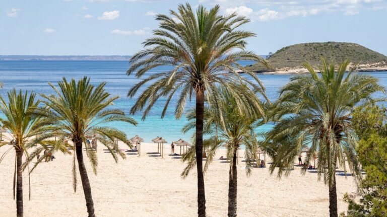 terrazas Calvià
