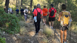 Nordic Walking