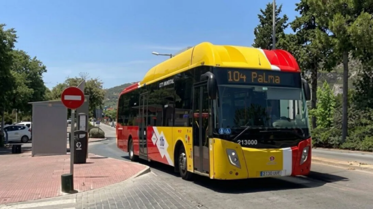 Calvià movilidad laboral