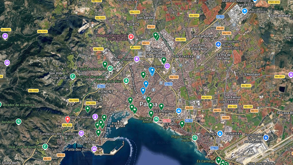 Palma abre una nueva plataforma ciudadana para recoger propuestas y actualizar su Plan de Accesibilidad